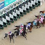 derby bet